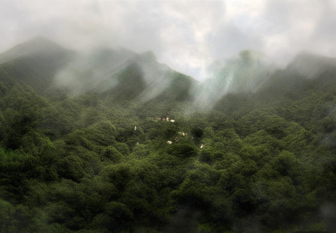 拜仁慕尼黑VS汉堡：亚盘解析与投注策略指南(图2)